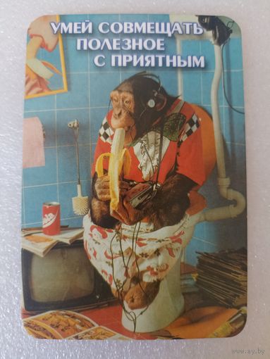 Животные, Обезьяны, 2001 год. Карманные календарики, Календарик, Календарь