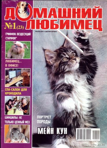 Домашний любимец #23