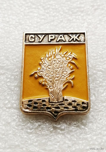Сураж. Герб города. Геральдика. Гербы городов Росcии #1910-CP31