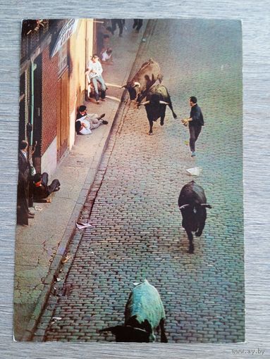 Этнография. Памплона. Энсьерро (Бег быков)