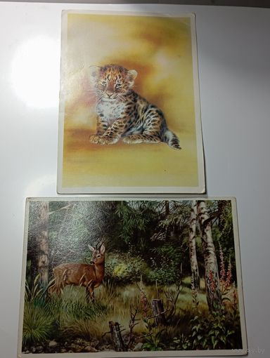 Открытки Животные  , с рубля .