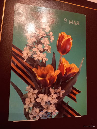 Дергилев 9 мая