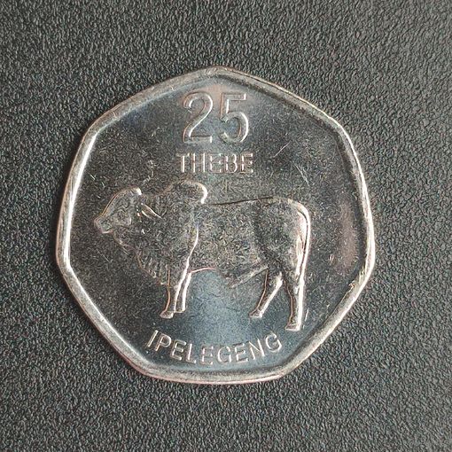 Ботсвана. 25 тхебе 2013 г. "Горбатый бык - Зебу"