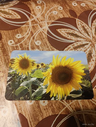 Календарик,пресса,2007