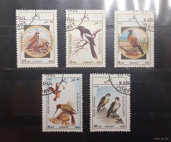 Афганистан. 1985 год. Фауна. Птицы (373)