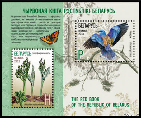 Красная книга (Беларусь 2013) блок чист Блок 90 Гроздовник ромашколистный. Сизоворонка