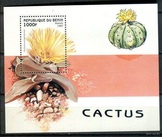 Бенин - 1997г. - Кактусы - полная серия, MNH [Mi bl. 32] - 1 блок