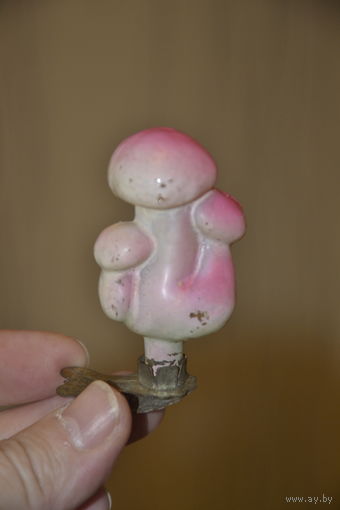 Семейка грибов