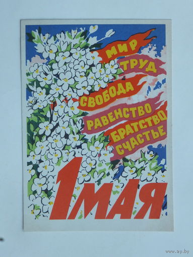 Владимиров 1 мая 1962  10х15 см