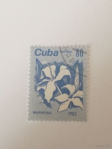 Куба 1983. Цветы.