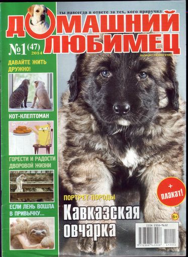 Домашний любимец #47