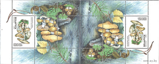 2 почтовых блока "Опенок осенний. Блок N15"