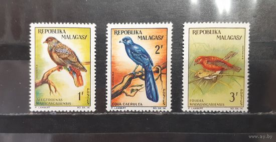 Мадагаскар. Фауна. Птицы (1251)