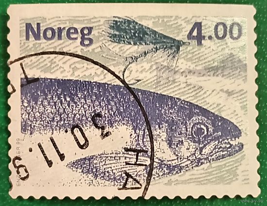 Норвегия 1999. Лосось