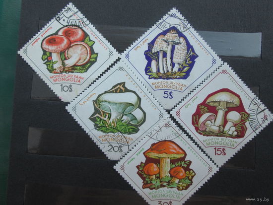 Грибы Монголия 1964 г