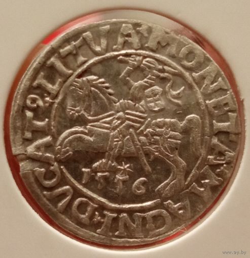 Полугрош. 1556г. Сигизмунд Август. Аукцион с рубля без минимальный цены