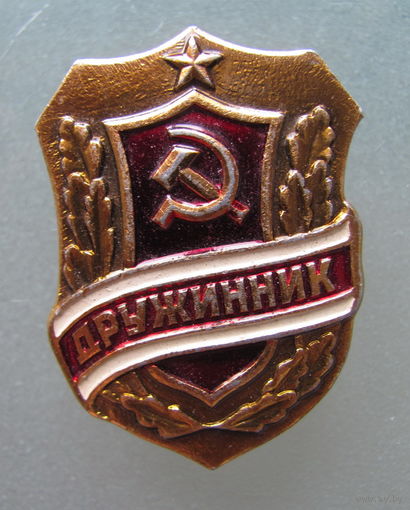 Значок дружинник