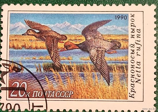 СССР 1990. Фауна. Красноносый нырок. Марка из серим