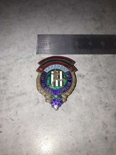 Знак кандидата в сборную Молдавской ССР для участия в III спартакиаде народов СССР Т.М. 1963-