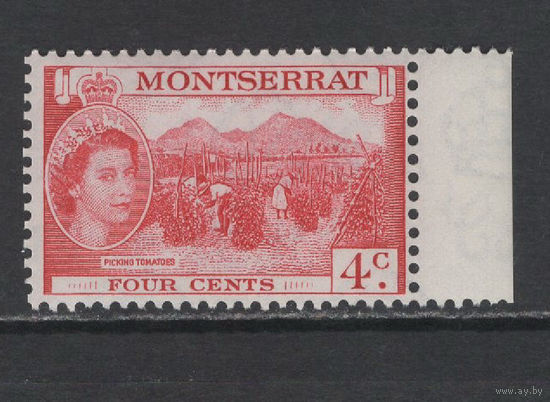 Монтсеррат 1953** Сбор томатов, Елизавета II  SG#140