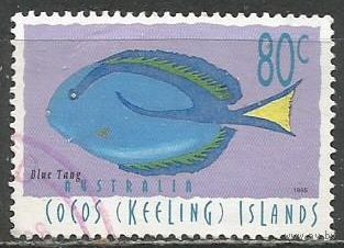 Кокосовые острова. Рыба Голубой херург. 1995г. Mi#347.