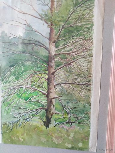 Акварель середины прошлого века