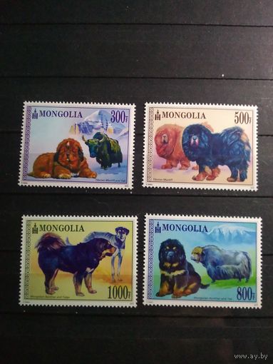 Монголия. 2015 г. Собаки.