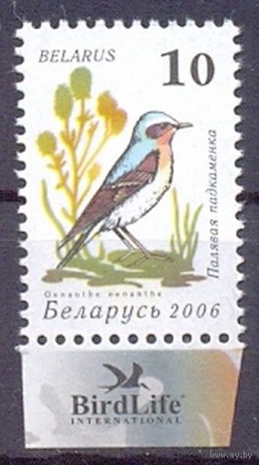 Беларусь фауна стандарт 2006 "Птицы сада" каменка обыкновенная /поле/
