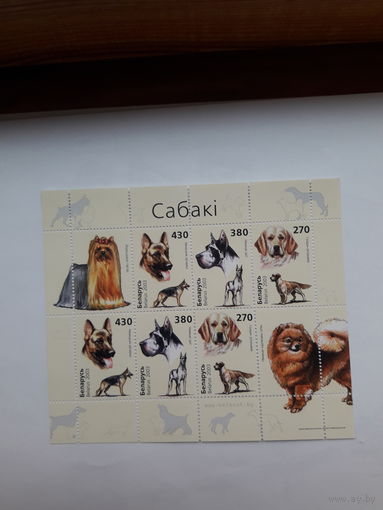 Марки Беларусь 2003 Собаки