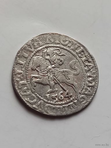 Полугрош 1564 г., с 1 рубля, без мц