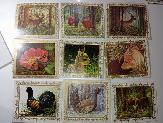 Набор открыток .  Природа Беларуси .