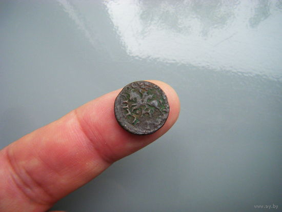 Солид ВКЛ  1666г. Литва. Погоня.