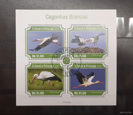 Сен-Томе и Принсипи. 2021 год. Фауна. Птицы. Аисты. Блок (391)