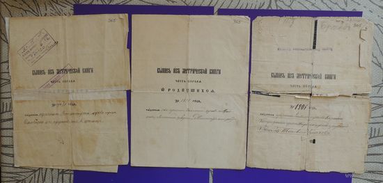 Документы "Выписка из метрической книги о рождении из церкви", 1891, 1907 г. - 2 шт.