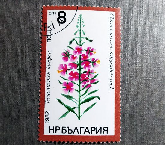 Марка Болгария 1982 год Лекарственные растения