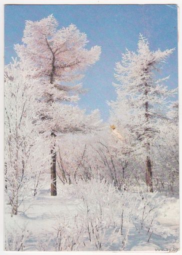 Открытка 1988 (352)
