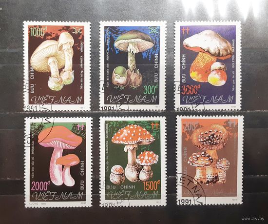 Вьетнам. 1991 год. Флора. Ядовитые грибы (966)