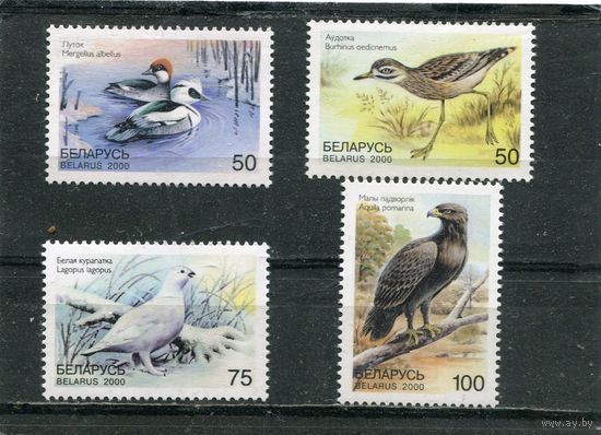 Беларусь 2000. Фауна. Птицы, занесенные в Красную книгу