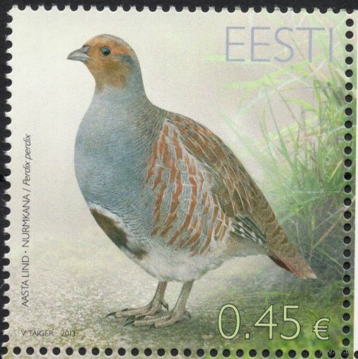Эстония 2013.Фауна. Птица года. Куропатка. 1 марка (516)