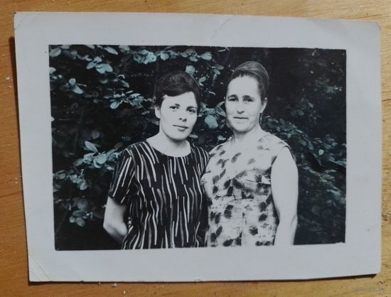 Фото в коллекцию