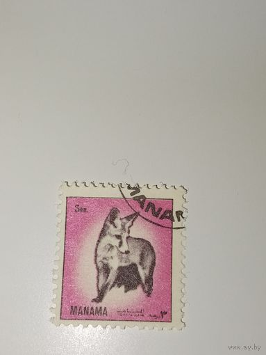 Манама. Фауна. 1972г.