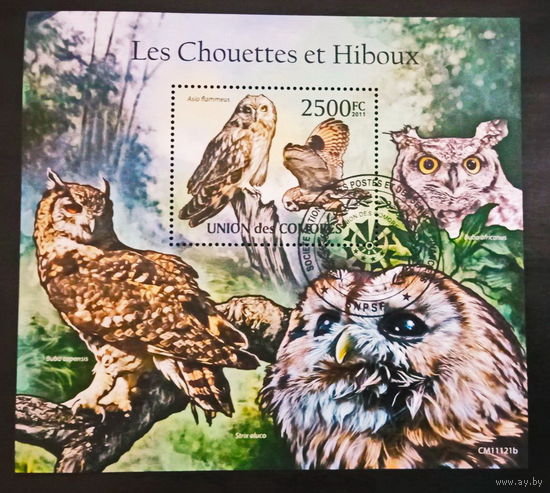 ЛИСТ ФАУНА ПТИЦЫ  СТО