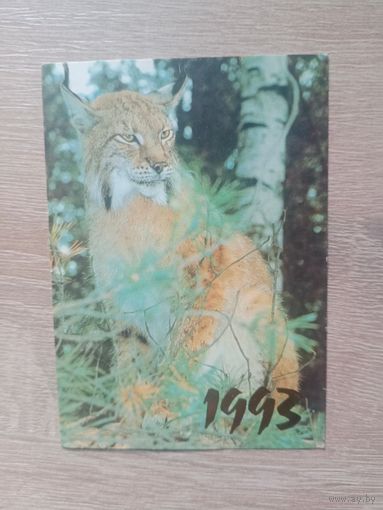 Календарик 1993