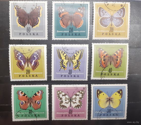 Польша. Фауна. Бабочки (1503)