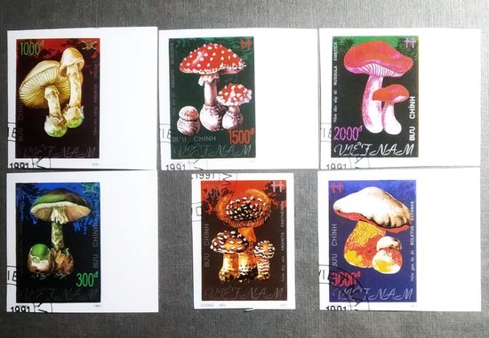 Марки Вьетнам 1991 год Грибы