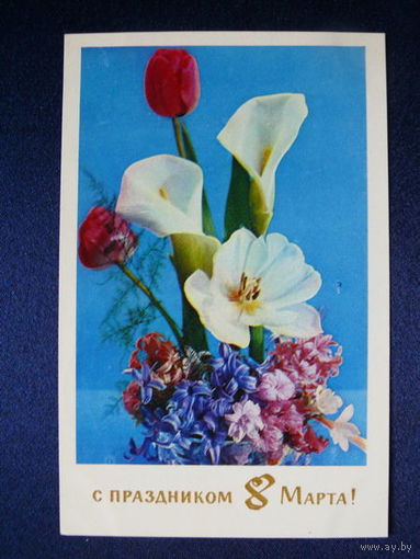 Фото Костенко Г., С праздником 8 Марта! 1971, подписана.