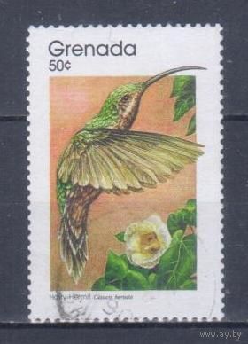 [385] Гренада 1989. Фауна.Птицы.Колибри. Гашеная марка.