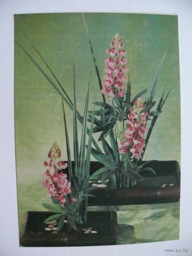 Тужиков В.(фото), Композиция из цветов, 1982, чистая.