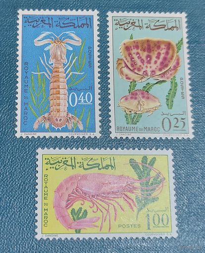Марокко 1965 Морская фауна