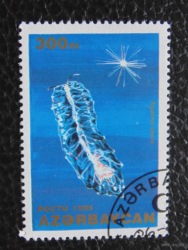 Азербайджан 1995 г. Морская фауна.